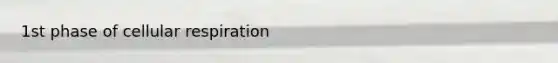 1st phase of cellular respiration