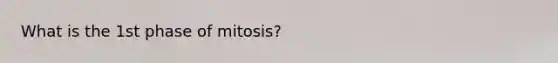 What is the 1st phase of mitosis?