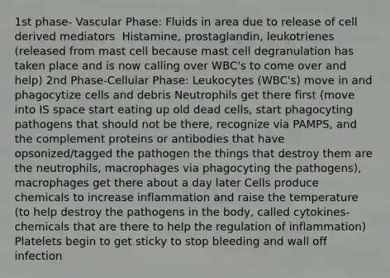 1st phase- Vascular Phase: Fluids in area due to release of cell derived mediators ​ Histamine, prostaglandin, leukotrienes (released from mast cell because mast cell degranulation has taken place and is now calling over WBC's to come over and help)​ 2nd Phase-Cellular Phase: Leukocytes (WBC's) move in and phagocytize cells and debris​ Neutrophils get there first (move into IS space start eating up old dead cells, start phagocyting pathogens that should not be there, recognize via PAMPS, and the complement proteins or antibodies that have opsonized/tagged the pathogen the things that destroy them are the neutrophils, macrophages via phagocyting the pathogens), macrophages get there about a day later​ Cells produce chemicals to increase inflammation and raise the temperature (to help destroy the pathogens in the body, called cytokines-chemicals that are there to help the regulation of inflammation)​ Platelets begin to get sticky to stop bleeding and wall off infection ​