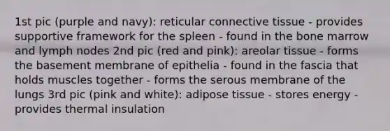 1st pic (purple and navy): reticular connective tissue - provides supportive framework for the spleen - found in the bone marrow and lymph nodes 2nd pic (red and pink): areolar tissue - forms the basement membrane of epithelia - found in the fascia that holds muscles together - forms the serous membrane of the lungs 3rd pic (pink and white): adipose tissue - stores energy - provides thermal insulation