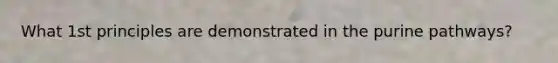 What 1st principles are demonstrated in the purine pathways?