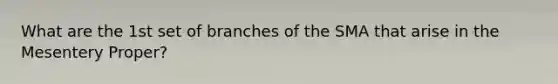 What are the 1st set of branches of the SMA that arise in the Mesentery Proper?