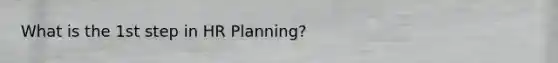 What is the 1st step in HR Planning?