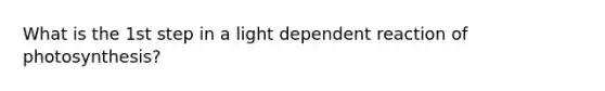 What is the 1st step in a light dependent reaction of photosynthesis?