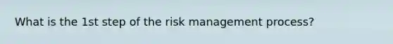 What is the 1st step of the risk management process?