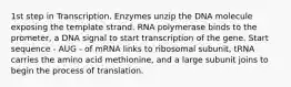 1st step in Transcription. Enzymes unzip the DNA molecule exposing the template strand. RNA polymerase binds to the prometer, a DNA signal to start transcription of the gene. Start sequence - AUG - of mRNA links to ribosomal subunit, tRNA carries the amino acid methionine, and a large subunit joins to begin the process of translation.