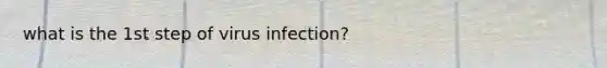 what is the 1st step of virus infection?