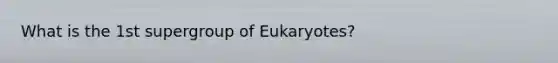 What is the 1st supergroup of Eukaryotes?