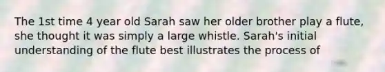 The 1st time 4 year old Sarah saw her older brother play a flute, she thought it was simply a large whistle. Sarah's initial understanding of the flute best illustrates the process of