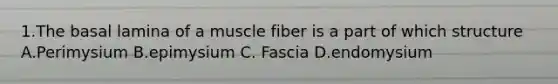 1.The basal lamina of a muscle fiber is a part of which structure A.Perimysium B.epimysium C. Fascia D.endomysium