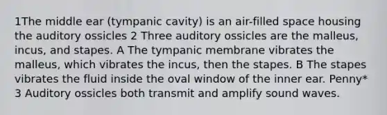 1The middle ear (tympanic cavity) is an air-filled space housing the auditory ossicles 2 Three auditory ossicles are the malleus, incus, and stapes. A The tympanic membrane vibrates the malleus, which vibrates the incus, then the stapes. B The stapes vibrates the fluid inside the oval window of the inner ear. Penny* 3 Auditory ossicles both transmit and amplify sound waves.