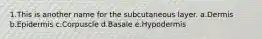 1.This is another name for the subcutaneous layer. a.Dermis b.Epidermis c.Corpuscle d.Basale e.Hypodermis