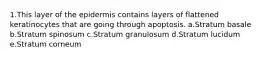 1.This layer of the epidermis contains layers of flattened keratinocytes that are going through apoptosis. a.Stratum basale b.Stratum spinosum c.Stratum granulosum d.Stratum lucidum e.Stratum corneum