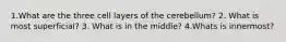 1.What are the three cell layers of the cerebellum? 2. What is most superficial? 3. What is in the middle? 4.Whats is innermost?