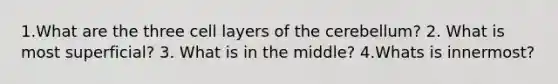 1.What are the three cell layers of the cerebellum? 2. What is most superficial? 3. What is in the middle? 4.Whats is innermost?