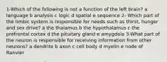 1-Which of the following is not a function of the left brain? a language b analysis c logic d spatial e sequence 2- Which part of the limbic system is responsible for needs such as thirst, hunger and sex drive? a the thalamus b the hypothalamus c the prefrontal cortex d the pituitary gland e amygdala 3-What part of the neuron is responsible for receiving information from other neurons? a dendrite b axon c cell body d myelin e node of Ranvier