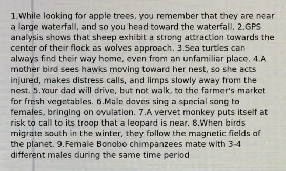 1.While looking for apple trees, you remember that they are near a large waterfall, and so you head toward the waterfall. 2.GPS analysis shows that sheep exhibit a strong attraction towards the center of their flock as wolves approach. 3.Sea turtles can always find their way home, even from an unfamiliar place. 4.A mother bird sees hawks moving toward her nest, so she acts injured, makes distress calls, and limps slowly away from the nest. 5.Your dad will drive, but not walk, to the farmer's market for fresh vegetables. 6.Male doves sing a special song to females, bringing on ovulation. 7.A vervet monkey puts itself at risk to call to its troop that a leopard is near. 8.When birds migrate south in the winter, they follow the magnetic fields of the planet. 9.Female Bonobo chimpanzees mate with 3-4 different males during the same time period