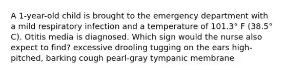 A 1-year-old child is brought to the emergency department with a mild respiratory infection and a temperature of 101.3° F (38.5° C). Otitis media is diagnosed. Which sign would the nurse also expect to find? excessive drooling tugging on the ears high-pitched, barking cough pearl-gray tympanic membrane