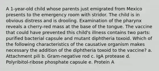 A 1-year-old child whose parents just emigrated from Mexico presents to the emergency room with stridor. The child is in obvious distress and is drooling. Examination of the pharynx reveals a cherry-red mass at the base of the tongue. The vaccine that could have prevented this child's illness contains two parts: purified bacterial capsule and mutant diphtheria toxoid. Which of the following characteristics of the causative organism makes necessary the addition of the diphtheria toxoid to the vaccine? a. Attachment pili b. Gram-negative rod c. IgA protease d. Polyribitol-ribose phosphate capsule e. Protein A