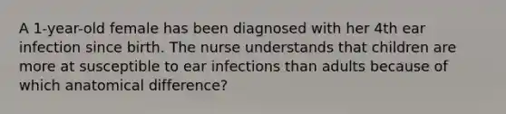 A 1-year-old female has been diagnosed with her 4th ear infection since birth. The nurse understands that children are more at susceptible to ear infections than adults because of which anatomical difference?