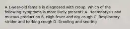 A 1-year-old female is diagnosed with croup. Which of the following symptoms is most likely present? A. Haemoptysis and mucous production B. High fever and dry cough C. Respiratory stridor and barking cough D. Drooling and snoring