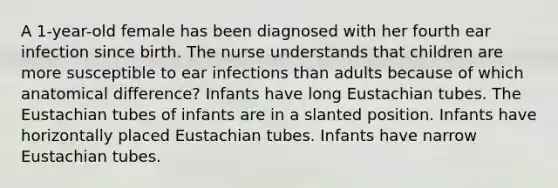 A 1-year-old female has been diagnosed with her fourth ear infection since birth. The nurse understands that children are more susceptible to ear infections than adults because of which anatomical difference? Infants have long Eustachian tubes. The Eustachian tubes of infants are in a slanted position. Infants have horizontally placed Eustachian tubes. Infants have narrow Eustachian tubes.