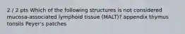 2 / 2 pts Which of the following structures is not considered mucosa-associated lymphoid tissue (MALT)? appendix thymus tonsils Peyer's patches