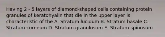 Having 2 - 5 layers of diamond-shaped cells containing protein granules of keratohyalin that die in the upper layer is characteristic of the A. Stratum lucidum B. Stratum basale C. Stratum corneum D. Stratum granulosum E. Stratum spinosum