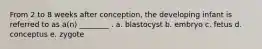From 2 to 8 weeks after conception, the developing infant is referred to as a(n) ________ . a. blastocyst b. embryo c. fetus d. conceptus e. zygote