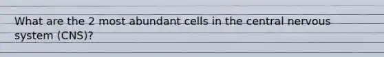 What are the 2 most abundant cells in the central nervous system (CNS)?