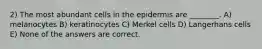 2) The most abundant cells in the epidermis are ________. A) melanocytes B) keratinocytes C) Merkel cells D) Langerhans cells E) None of the answers are correct.