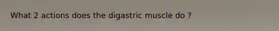What 2 actions does the digastric muscle do ?