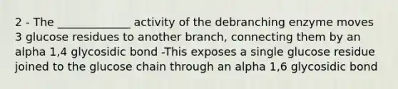 2 - The _____________ activity of the debranching enzyme moves 3 glucose residues to another branch, connecting them by an alpha 1,4 glycosidic bond -This exposes a single glucose residue joined to the glucose chain through an alpha 1,6 glycosidic bond