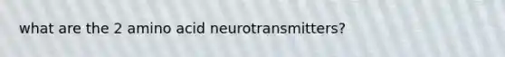 what are the 2 amino acid neurotransmitters?