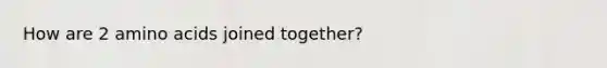 How are 2 amino acids joined together?