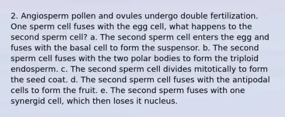 2. Angiosperm pollen and ovules undergo double fertilization. One sperm cell fuses with the egg cell, what happens to the second sperm cell? a. The second sperm cell enters the egg and fuses with the basal cell to form the suspensor. b. The second sperm cell fuses with the two polar bodies to form the triploid endosperm. c. The second sperm cell divides mitotically to form the seed coat. d. The second sperm cell fuses with the antipodal cells to form the fruit. e. The second sperm fuses with one synergid cell, which then loses it nucleus.