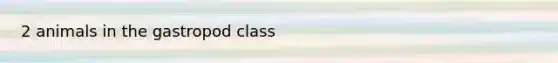 2 animals in the gastropod class