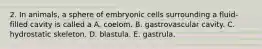 2. In animals, a sphere of embryonic cells surrounding a fluid‐filled cavity is called a A. coelom. B. gastrovascular cavity. C. hydrostatic skeleton. D. blastula. E. gastrula.