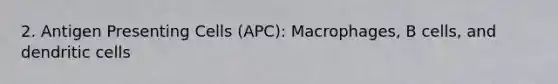 2. Antigen Presenting Cells (APC): Macrophages, B cells, and dendritic cells