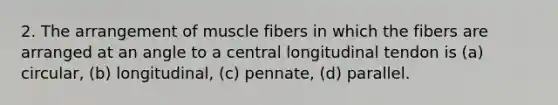 2. The arrangement of muscle fibers in which the fibers are arranged at an angle to a central longitudinal tendon is (a) circular, (b) longitudinal, (c) pennate, (d) parallel.