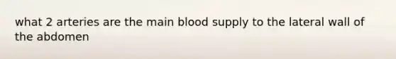 what 2 arteries are the main blood supply to the lateral wall of the abdomen