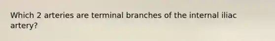 Which 2 arteries are terminal branches of the internal iliac artery?