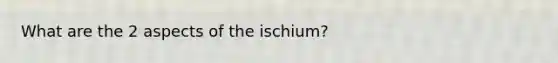 What are the 2 aspects of the ischium?