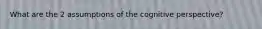 What are the 2 assumptions of the cognitive perspective?