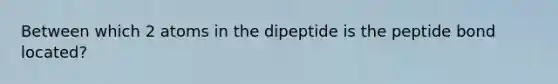 Between which 2 atoms in the dipeptide is the peptide bond located?