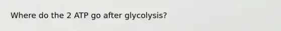 Where do the 2 ATP go after glycolysis?