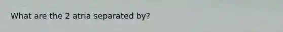 What are the 2 atria separated by?