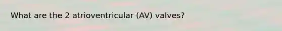 What are the 2 atrioventricular (AV) valves?