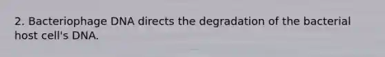 2. Bacteriophage DNA directs the degradation of the bacterial host cell's DNA.