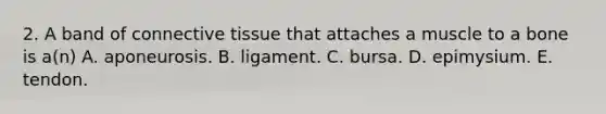 2. A band of <a href='https://www.questionai.com/knowledge/kYDr0DHyc8-connective-tissue' class='anchor-knowledge'>connective tissue</a> that attaches a muscle to a bone is a(n) A. aponeurosis. B. ligament. C. bursa. D. epimysium. E. tendon.